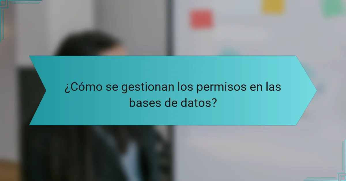 ¿Cómo se gestionan los permisos en las bases de datos?