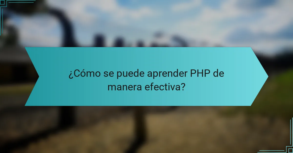 ¿Cómo se puede aprender PHP de manera efectiva?